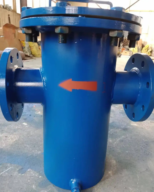 藍式管道過濾器 藍式管道過濾器